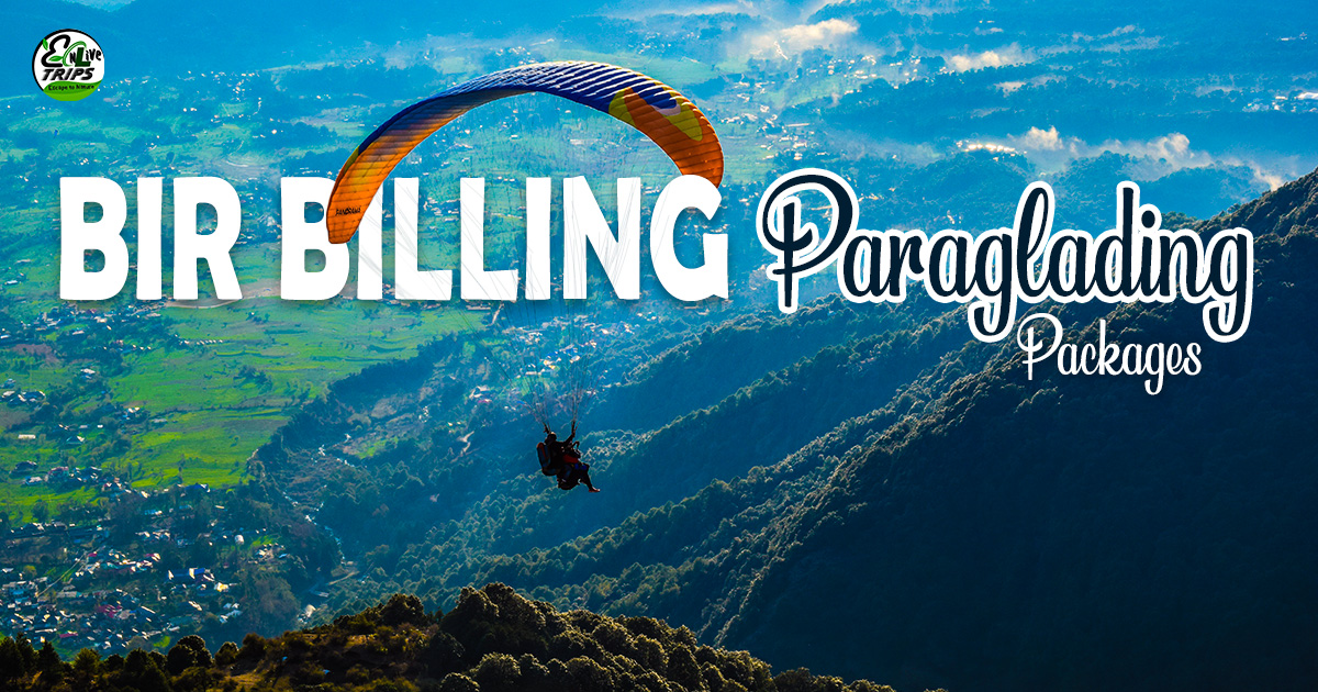 Best Bir Billing Tour Package 